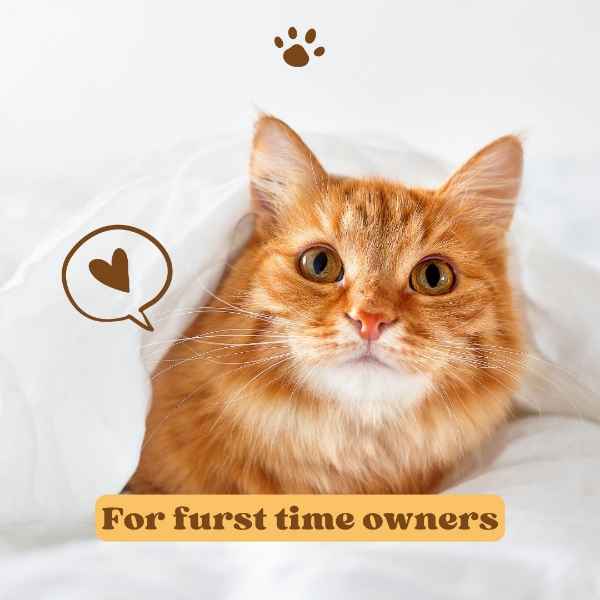 Show products in category Stuff for my new Purrrfect friend Picture for category Stuff for my new Purrrfect friend